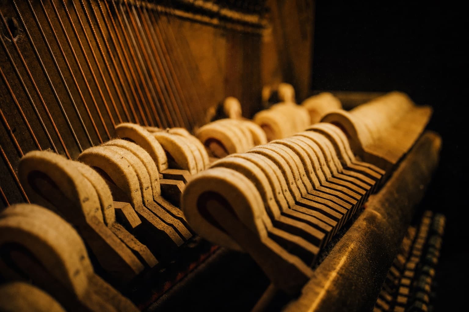 The hammers and strings inside an open grand piano, lit warm